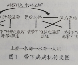 中医学研究__从病机传变探析《傅青主女科》带下病之辨治规律