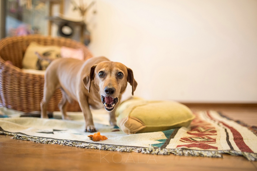 家庭日记 满满滴生活味道
